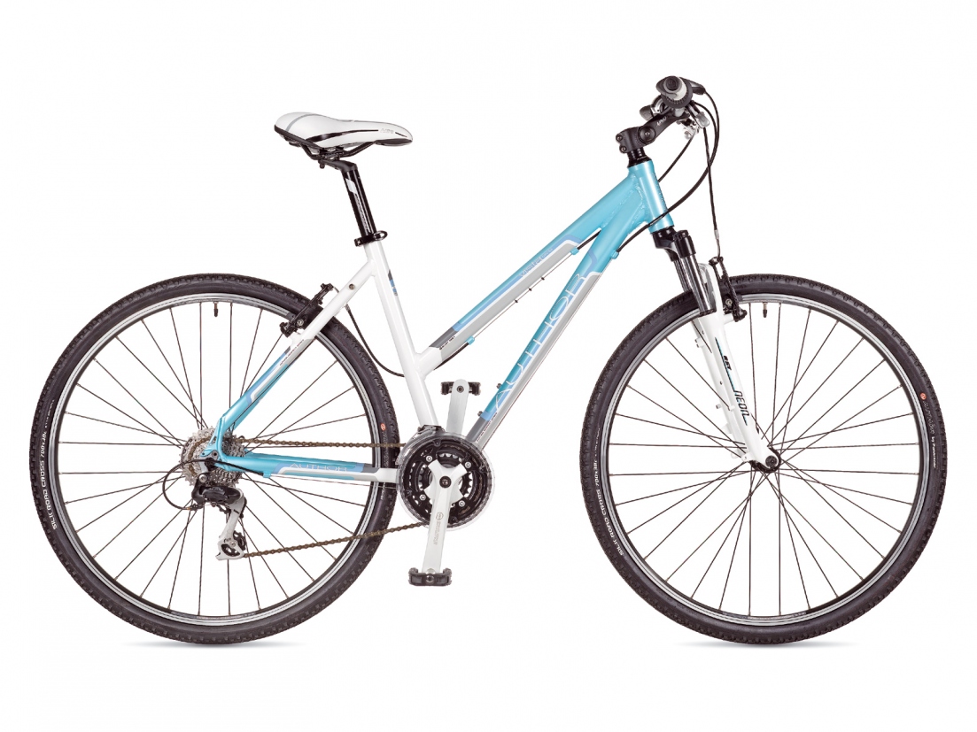 AUTHOR Bicycle Vista 2013