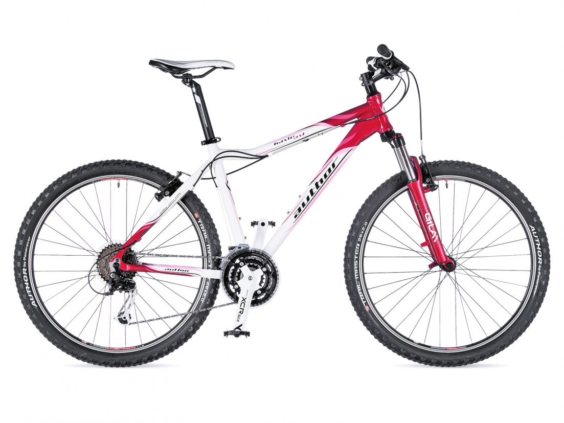 AUTHOR Bicycle Basic ASL 2014