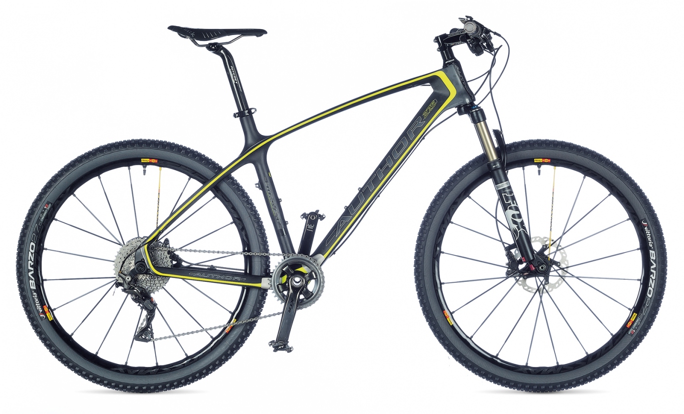 AUTHOR Bicycle Introvert 2015